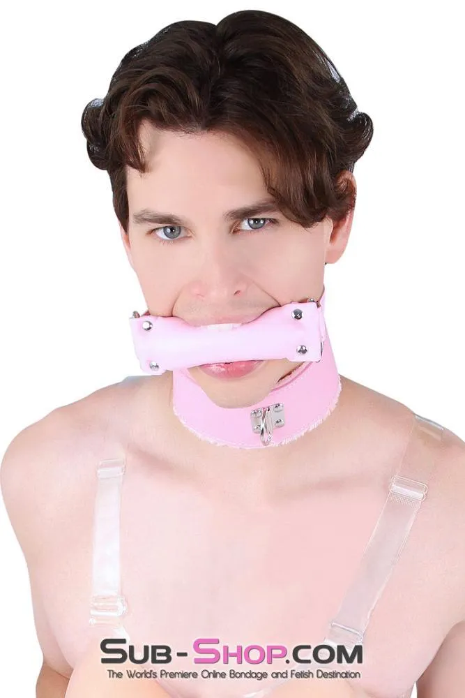 0536LT-SIS      Pink Furry Sissy Training Bondage Pretty Sissy Boi Slave Collar & Leash Set