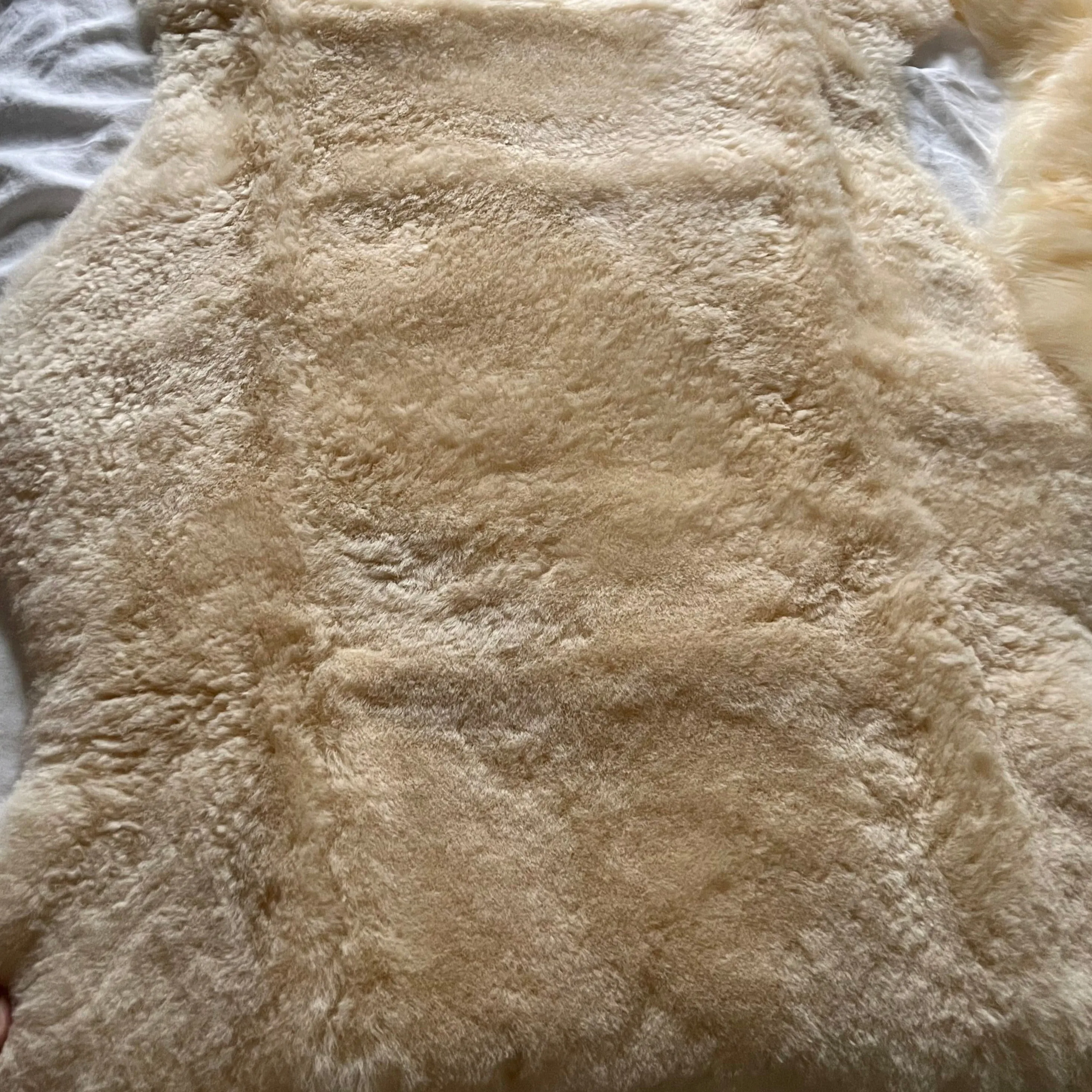 Bambino Short Nursery Sheepskin