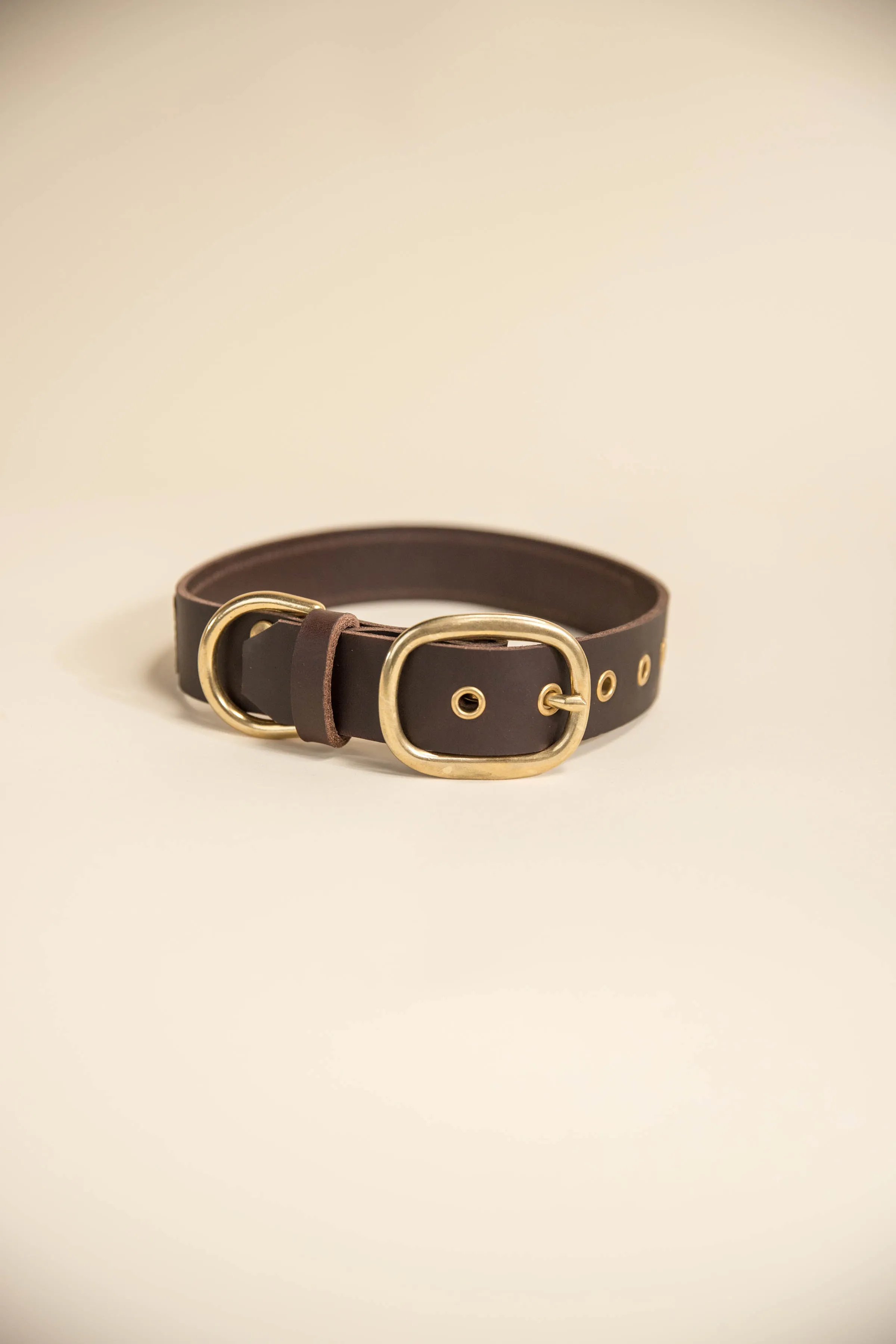 GG Dog Collar