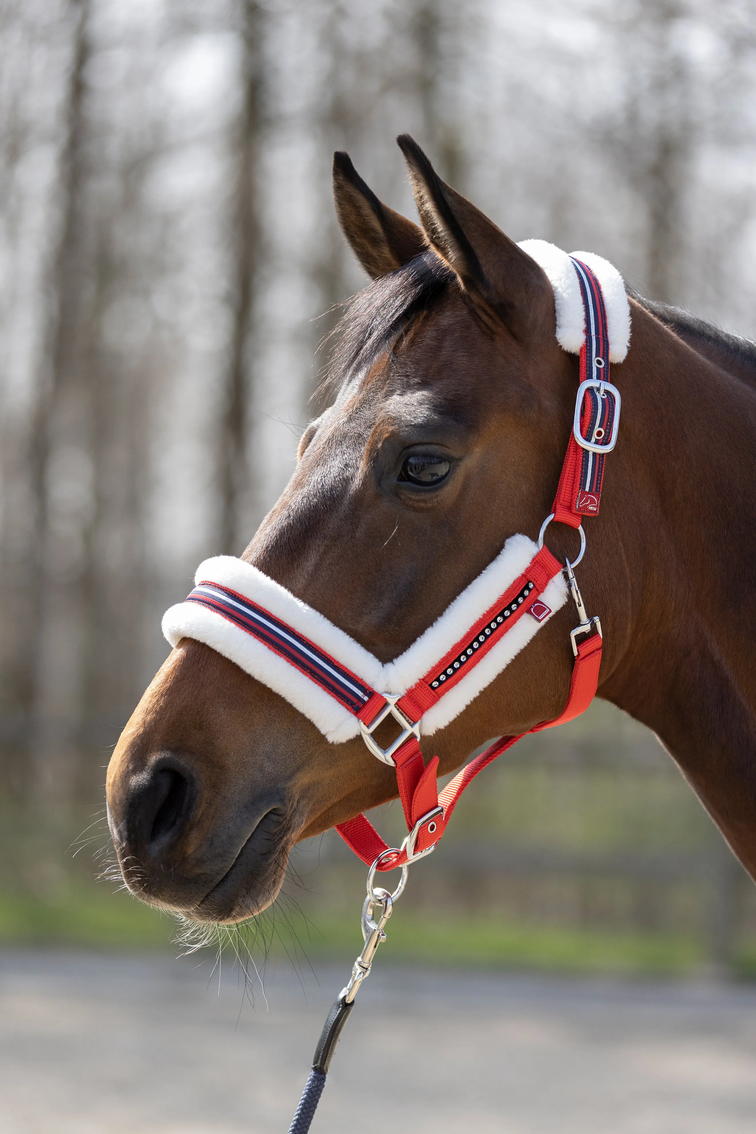 Head Collar Equine Sports Style