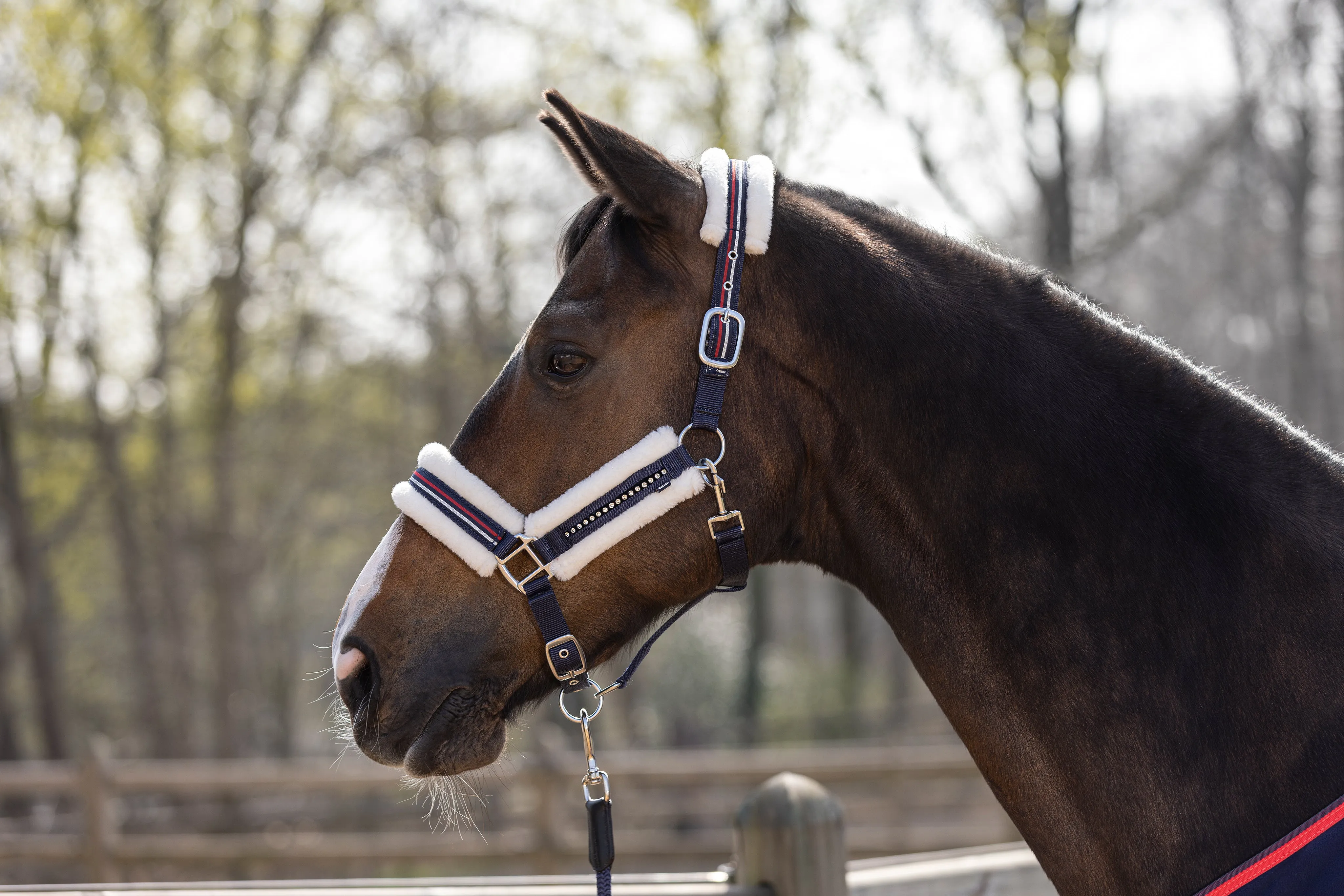 Head Collar Equine Sports Style