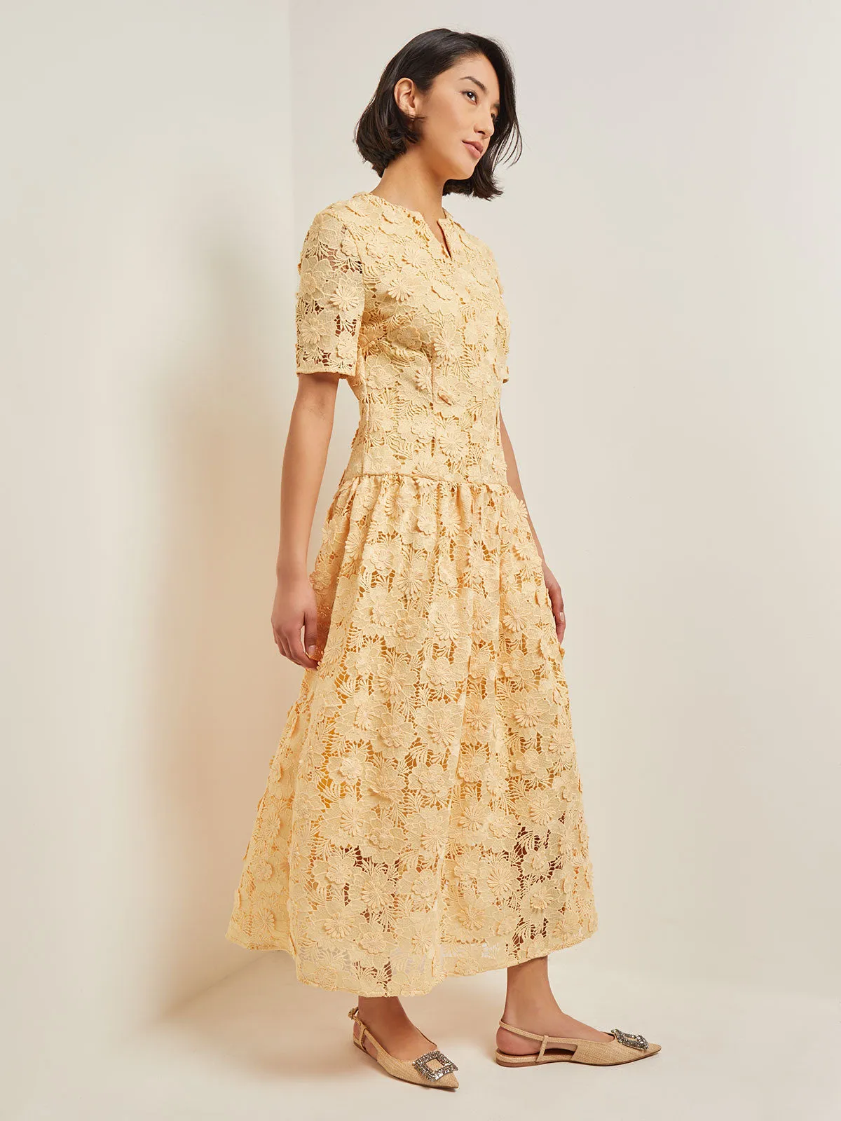 Maxi Pleated Drop Waist Dress - Floral Applique Woven