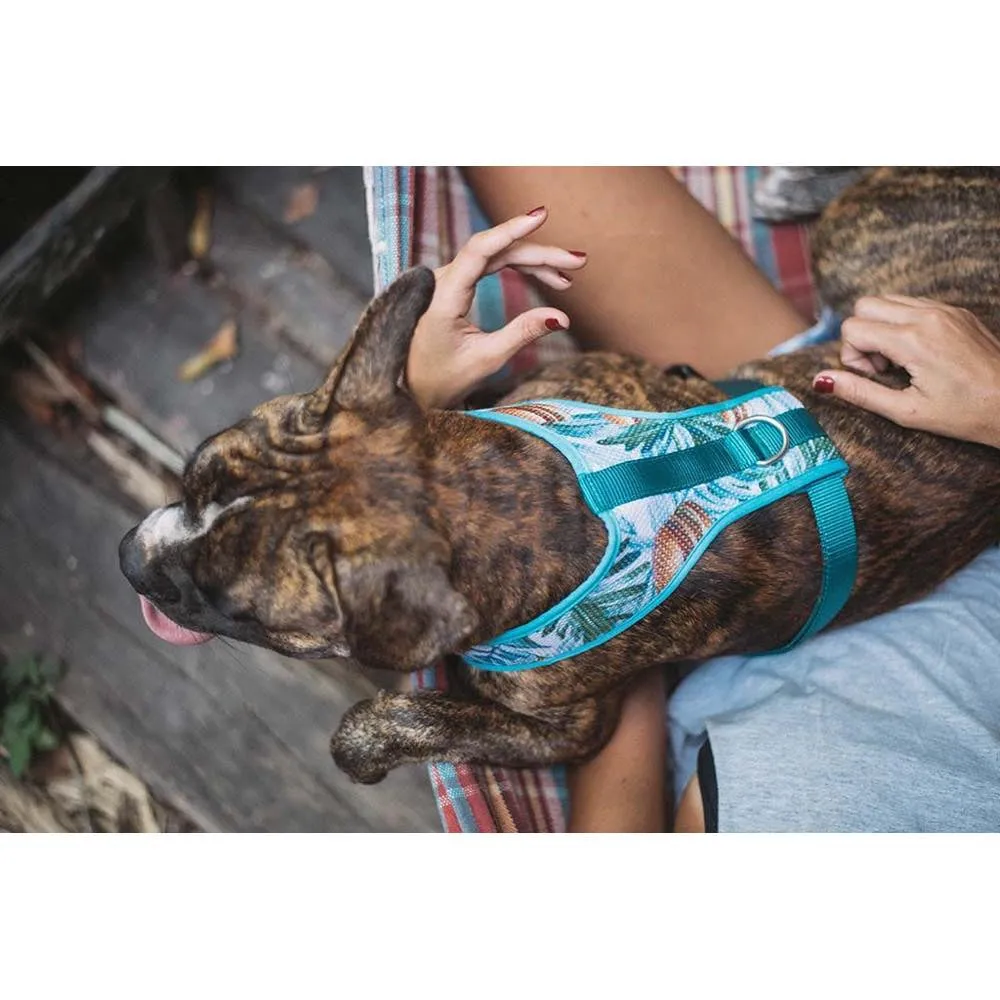 Zee.Dog Mczee Air Mesh Plus Dog Harness